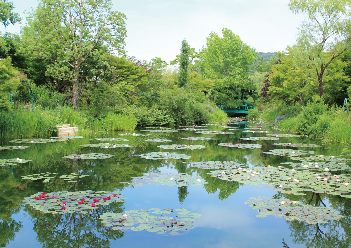 モネの庭 3つの庭の風景